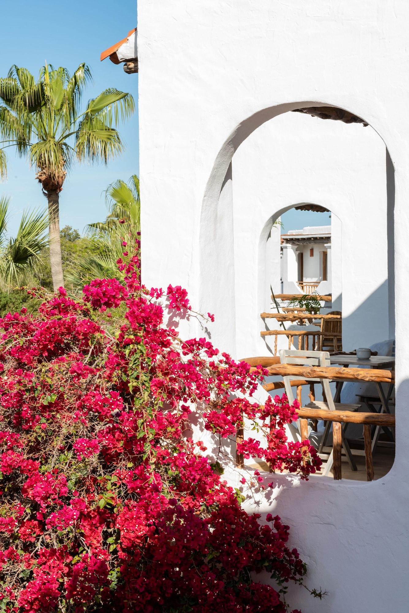Petunia Ibiza (Adults Only) Hotel Cala Vadella  Exterior photo